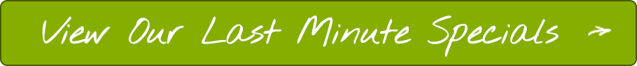 last-minute-specials