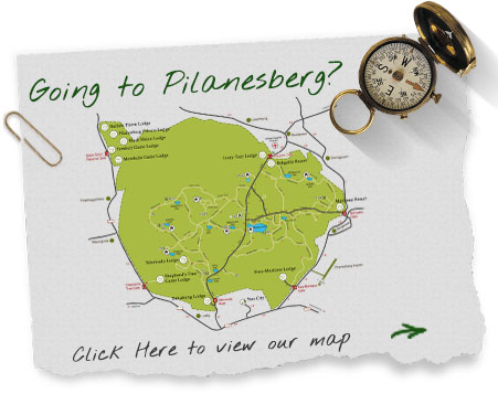 www.pilanesbergnationalpark.org