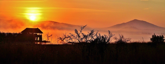 Pilanesberg Fan Photo June