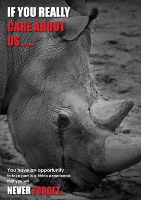Rhino-Conservation-Pilanesberg