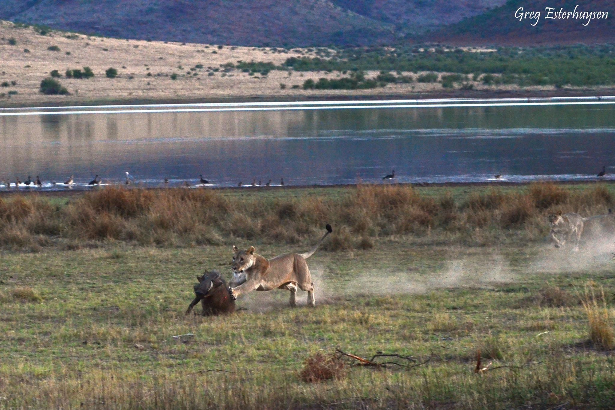 12339137_407334189391951_956275560281356149_o