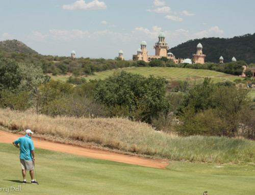 Wild about golfing